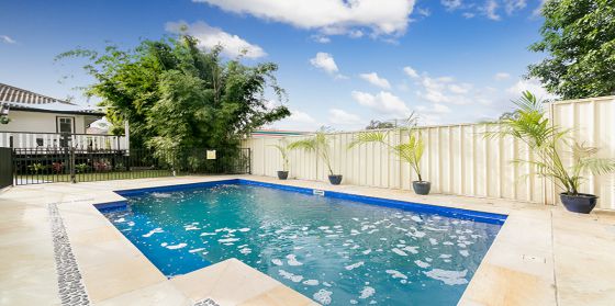 1197 Cavendish Road Mount Gravatt East QLD 4122, Mount Gravatt East - Thumbnail 2
