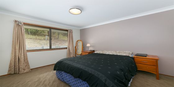21 Antonia St Mount Gravatt East QLD 4122, Mount Gravatt East - Thumbnail 8