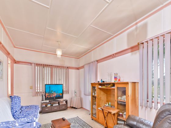 37 Mayrene Street Carina QLD 4152, Carina - Thumbnail 4